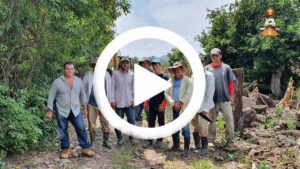 Ver video en facebook