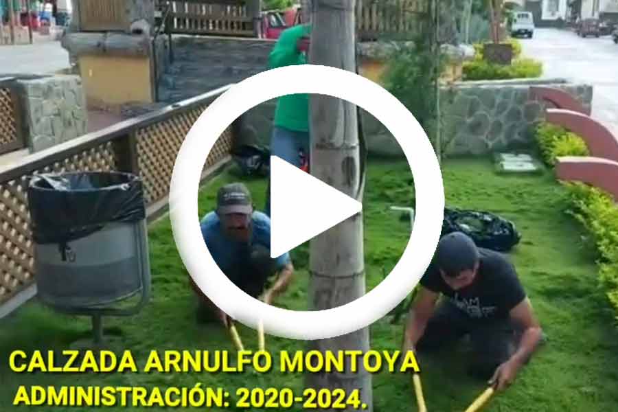 ver video en Facebook