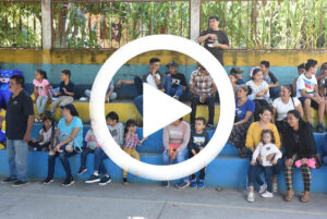 Ver video en Facebook
