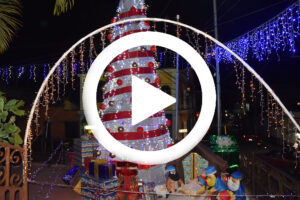 Ver video en Facebook