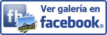 Ver galer铆a en Facebook